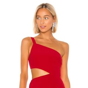 Daya Dusters Earrings in Clear